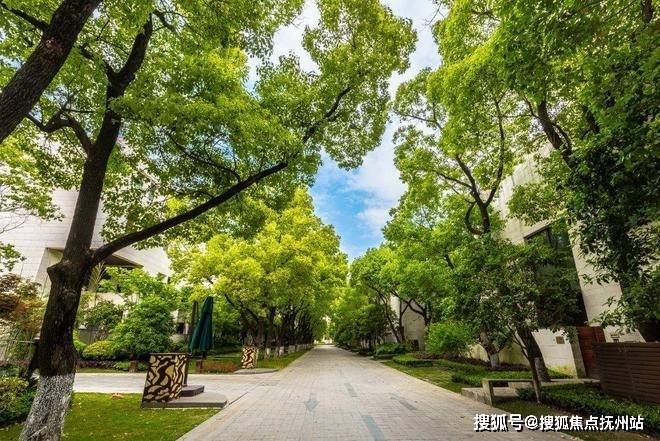 九游体育网站：大宁揽翠艺墅-上海(大宁揽翠艺墅)楼盘详情-房价-户型-容积率-小区环境(图5)