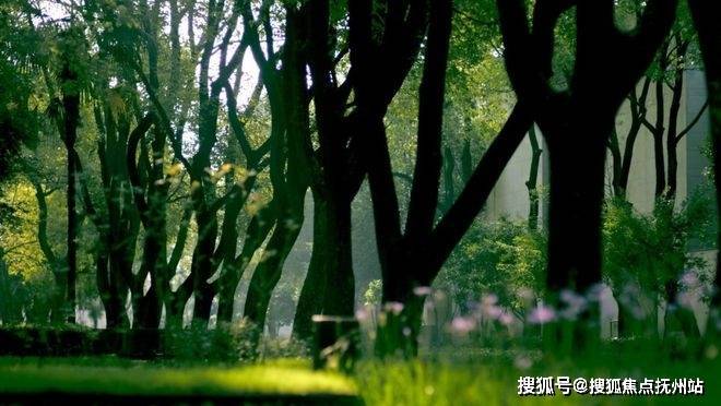 九游体育网站：大宁揽翠艺墅-上海(大宁揽翠艺墅)楼盘详情-房价-户型-容积率-小区环境(图9)