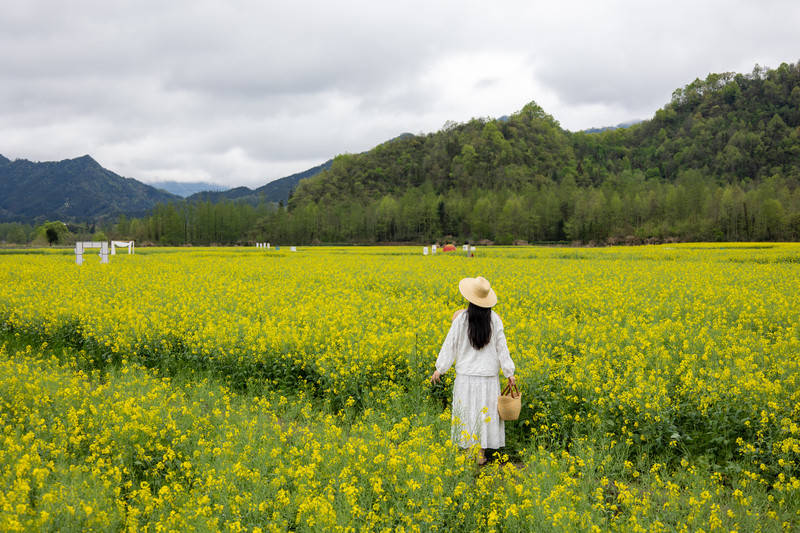 山野清欢自在漫游这一站去黟县(图1)