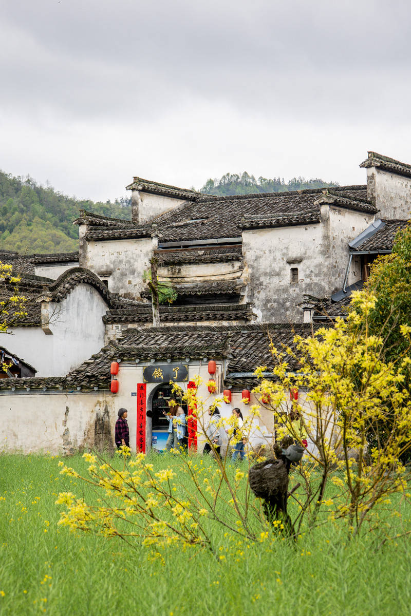 山野清欢自在漫游这一站去黟县(图14)