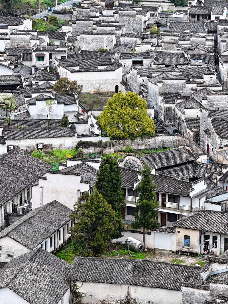 山野清欢自在漫游这一站去黟县(图24)