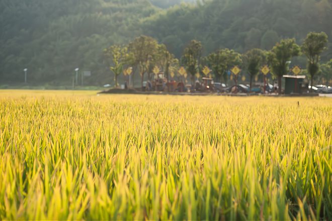 九游体育：皖南有个“船形村”距今已1600多年历史风景秀美古韵十足(图11)