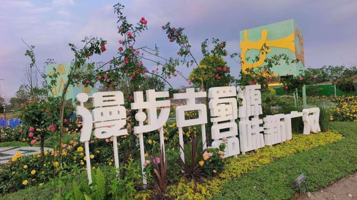 广汉再获德阳市花月季展“最佳设计”奖项(图2)