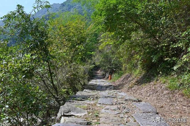 九游体育网站：安徽有个小县旅游名气不大却是一个成语的发源地距杭州仅4小时(图4)