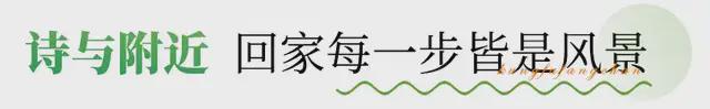 拒绝预售房这届购房者太敢了！(图3)