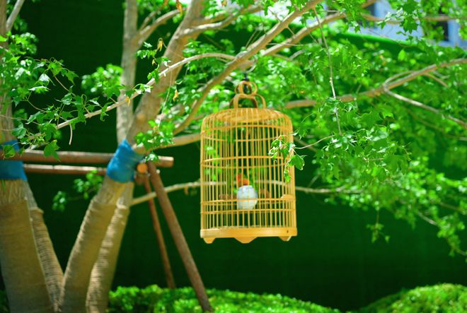 九游体育：真是没想到！这一次又被中海震到了！(图4)