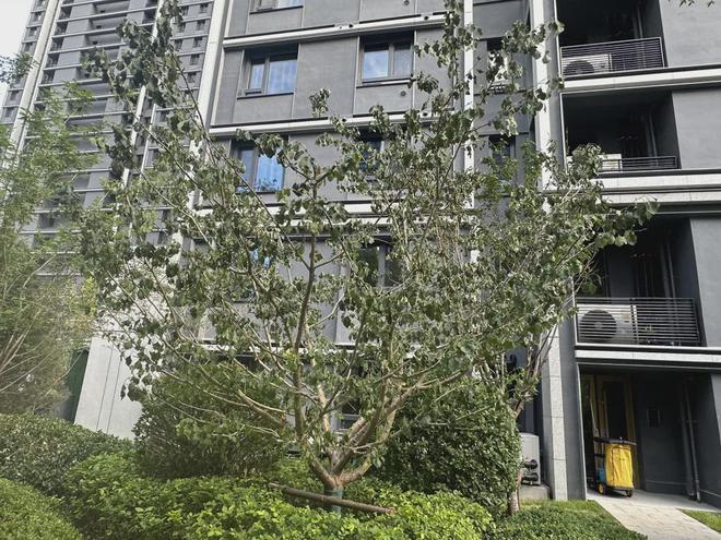 绿城沁园(售楼处)资讯：北京绿城沁园-24小时预约热线(图26)