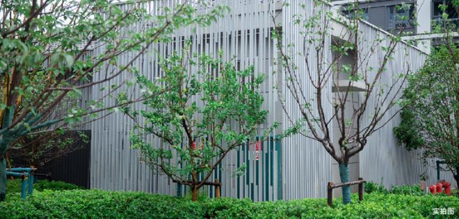 今天！苏州神盘冒雨交付！上演绝地大翻盘！实景爆赞业主直播炫耀……(图13)