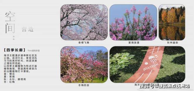 国贸虹桥璟上(上海国贸虹桥璟上)首页网站-2024最新房价-欢迎您(图7)