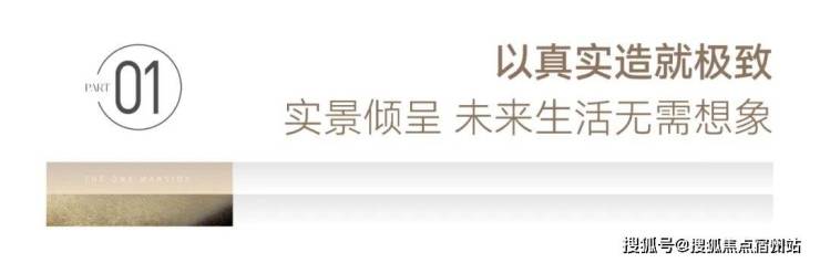 九游体育：嘉兴南湖「苏嘉玖晟园」精致、高级、有品位。(图25)