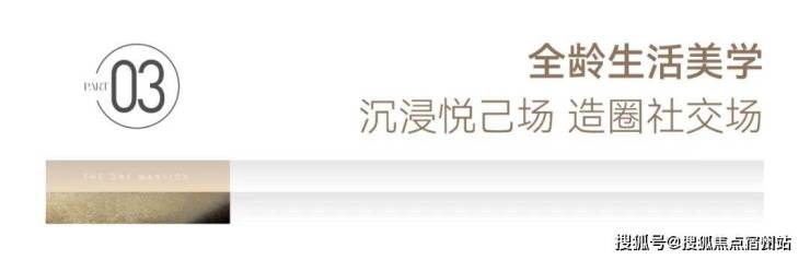 九游体育：嘉兴南湖「苏嘉玖晟园」精致、高级、有品位。(图30)