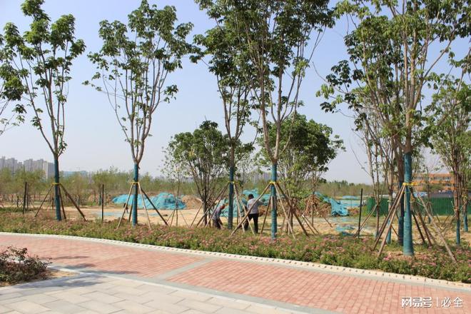 园林景观造景的方式和石景植物配置要求(图7)