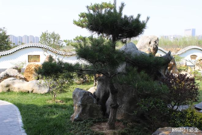 园林景观造景的方式和石景植物配置要求(图3)