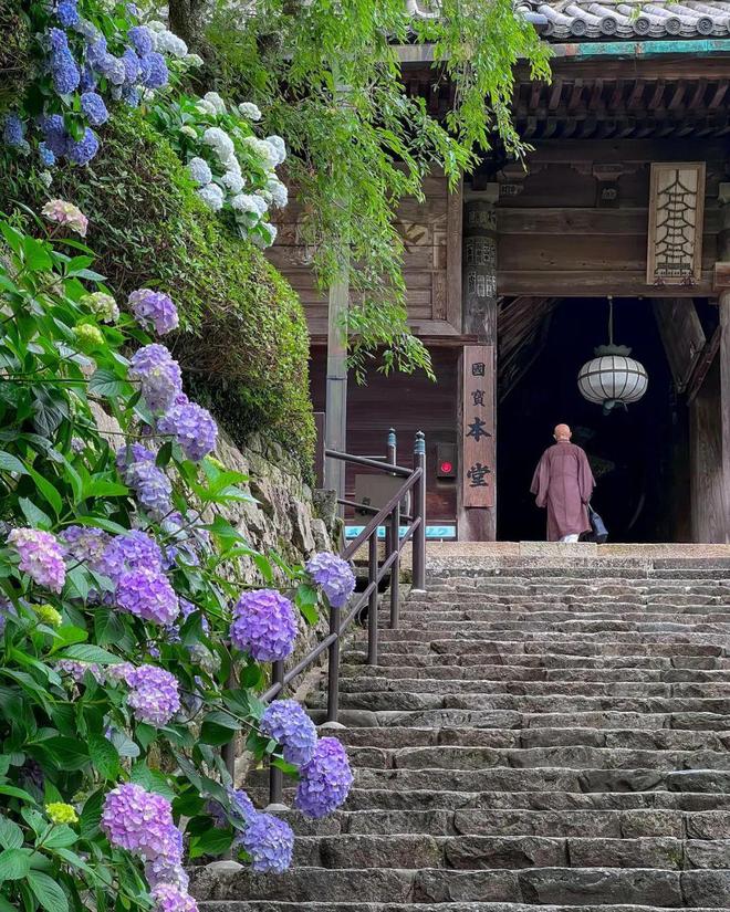 九游体育：避人流错峰玩日本！8月底京都听古寺风铃、奈良鹿见(图12)