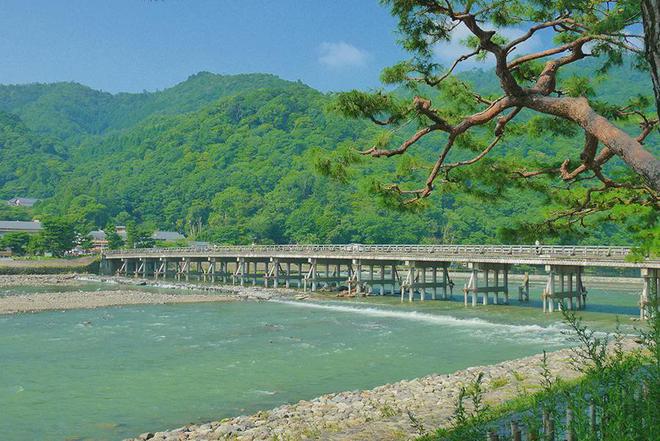 九游体育：避人流错峰玩日本！8月底京都听古寺风铃、奈良鹿见(图11)