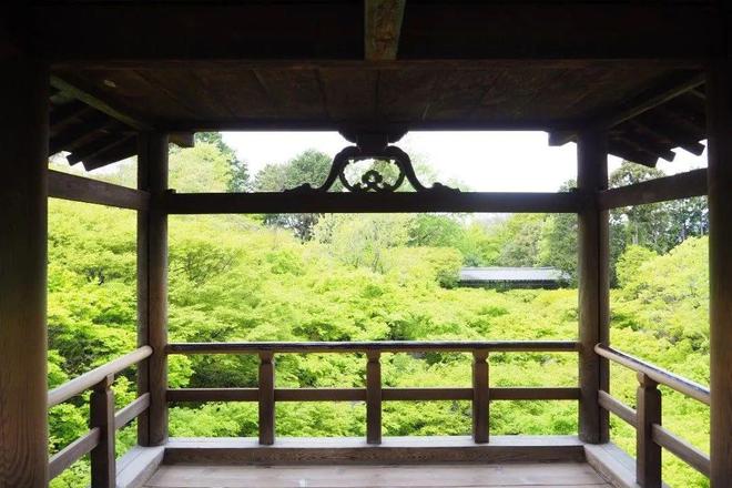 九游体育：避人流错峰玩日本！8月底京都听古寺风铃、奈良鹿见(图7)