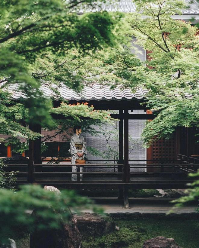 九游体育：避人流错峰玩日本！8月底京都听古寺风铃、奈良鹿见(图21)