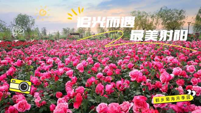 射阳县关于第四次全国文物普查征集新发现文物线索的公告(图2)