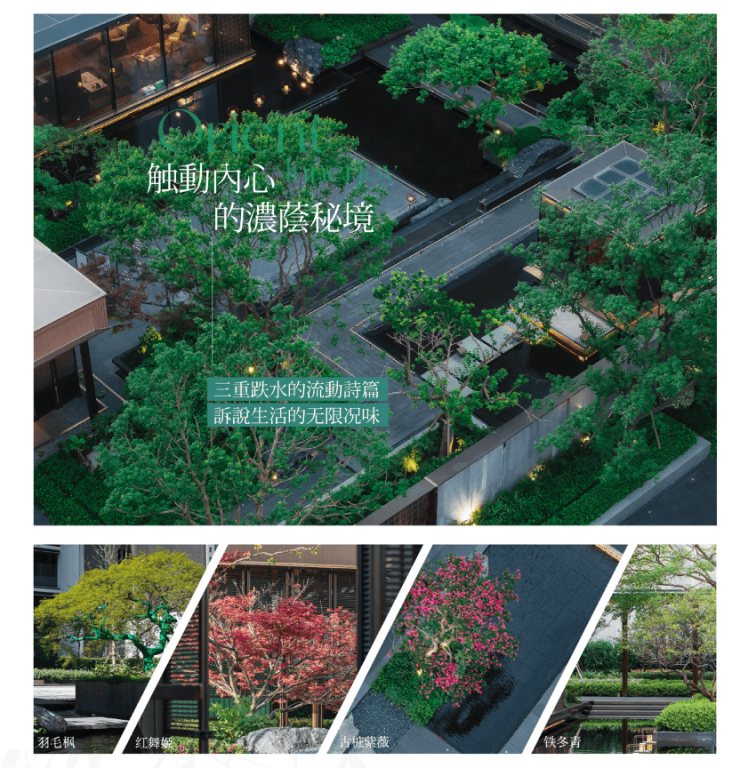 保利海上瑧悦(保利海上瑧悦)首页网站丨-2024年最新价格户型配套(图13)
