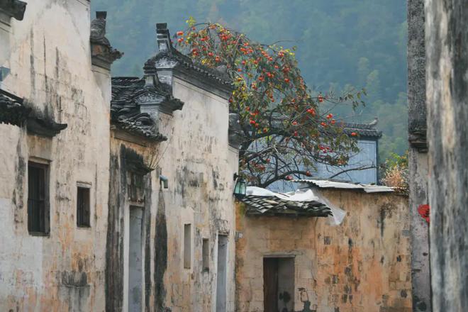 亲子访小众徽州（816-19）读人文山水(图2)
