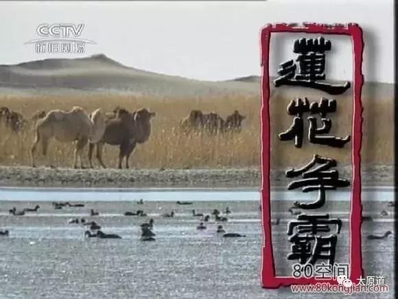 这部25年前山西与新加坡合拍的电视剧为什么被奉为经典？(图2)