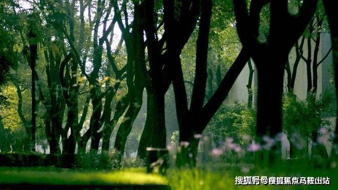大宁揽翠艺墅-(大宁揽翠艺墅)首页网站丨楼盘详情-房价-户型(图9)