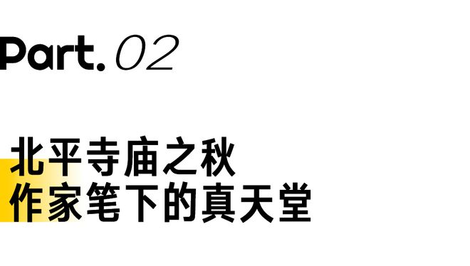 今年北京最美赏秋地藏不住了(图4)