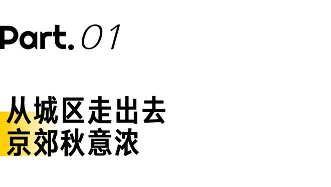 今年北京最美赏秋地藏不住了(图1)