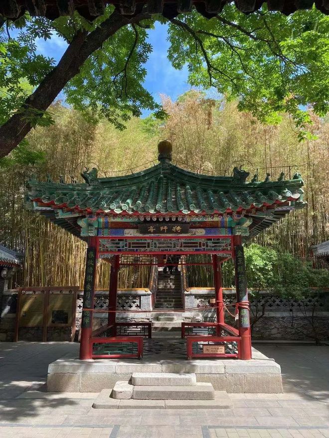 今年北京最美赏秋地藏不住了(图12)