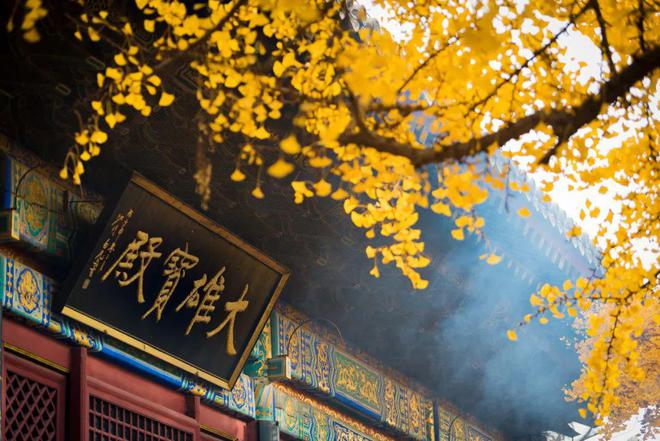 今年北京最美赏秋地藏不住了(图8)