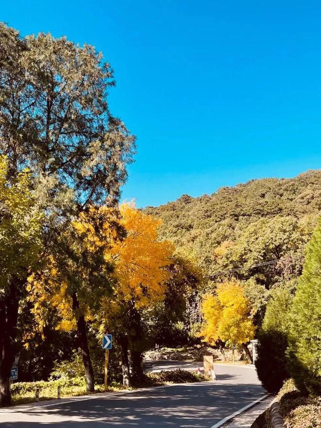 今年北京最美赏秋地藏不住了(图11)
