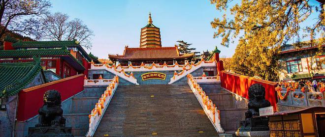 今年北京最美赏秋地藏不住了(图21)