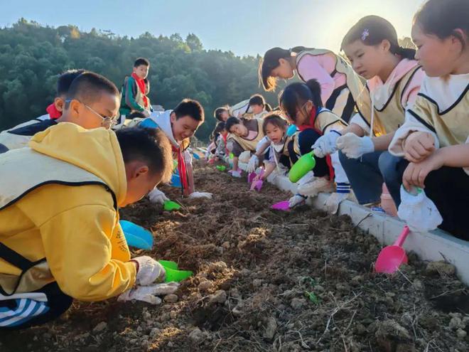 研学旅行快乐多多彩课堂真神奇——徐桥小学赴桐城研学之旅(图4)