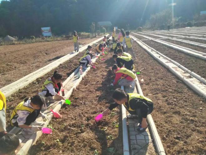 研学旅行快乐多多彩课堂真神奇——徐桥小学赴桐城研学之旅(图5)