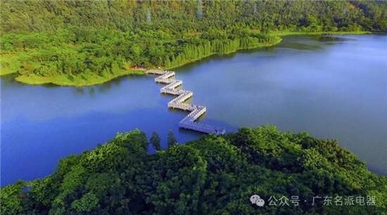 九游体育网站：2024名派电器“广东游学”——菏泽站(图7)