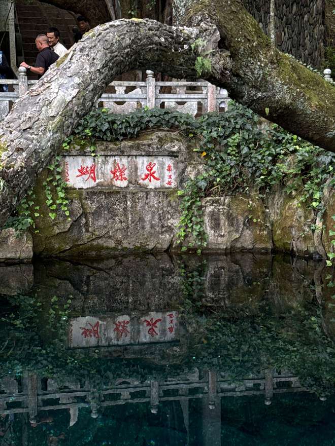 11月16日至30日大理这些景点免费开放→(图2)