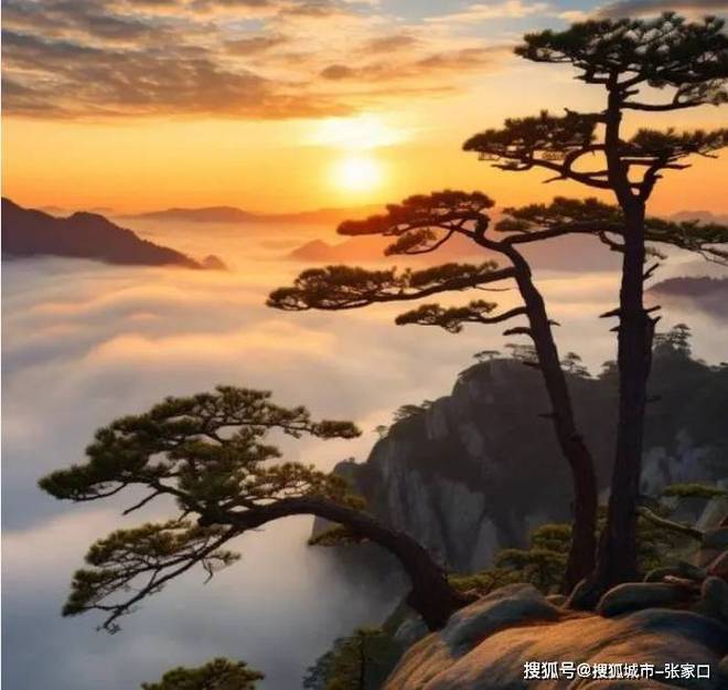 九游体育：安徽拼团游五天精品行程攻略去安徽黄山5日游拼团路线推荐(图2)