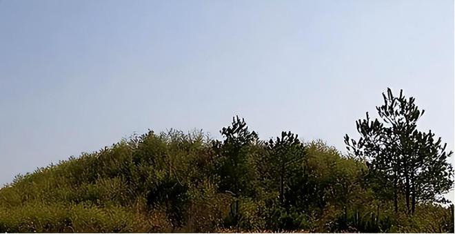 江西村民发现古墓专家称是最大的汉墓群出土宝贝数不胜数(图8)