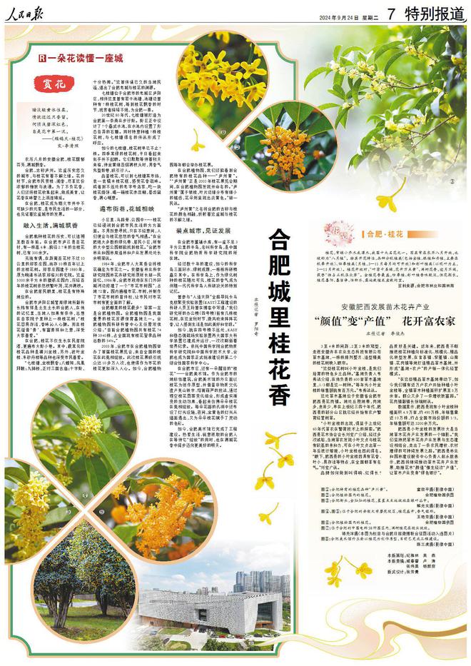陶醉！一座充满香气的省会城市(图6)