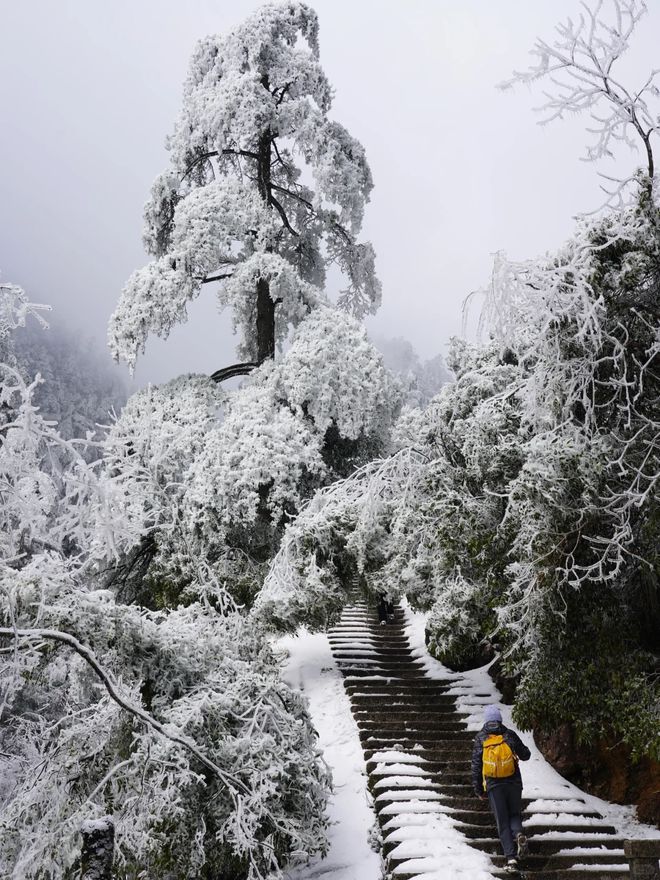 2024黄山旅游三日游跟团多少钱？黄山3日游攻略3天游报价？(图3)