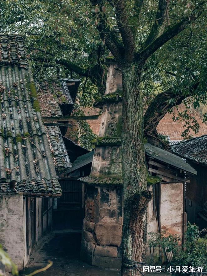 九游体育：泸州市境内的悠久福宝小镇(图1)