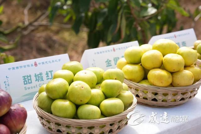 走进资中走进内江在山歌响起的地方终于读懂了什么叫做县城美学！(图11)