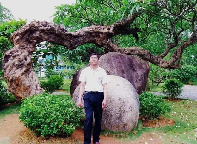 夜读｜造房子(图4)