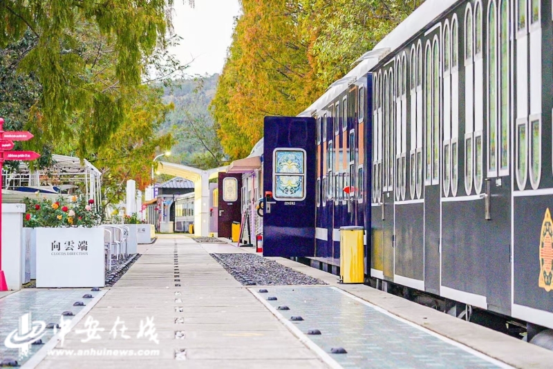 “学习强国”省级平台走进安徽专题调研行：感受徽文化独特魅力(图2)