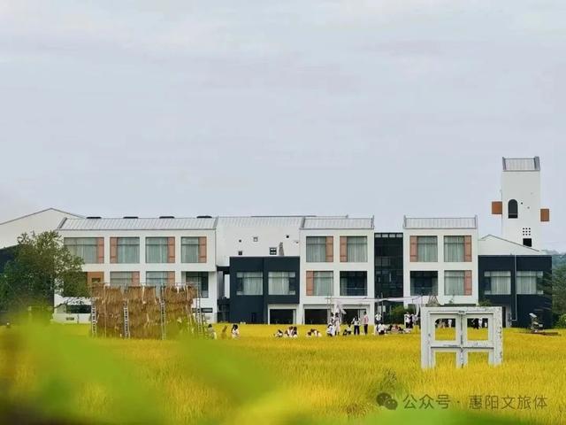 九游体育网站：跟着杯赛游惠阳CBA俱乐部杯让你看球游玩两不误(图26)