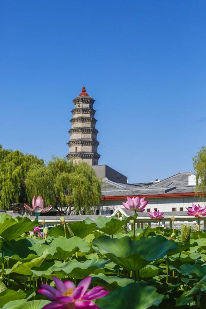 九游体育网站：建筑大师梁思成与滕州龙泉塔(图3)
