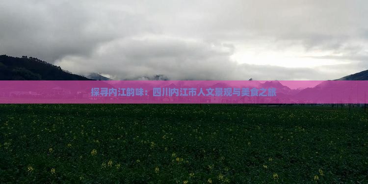 九游体育：探寻内江韵味：四川内江市人文景观与美食之旅(图6)