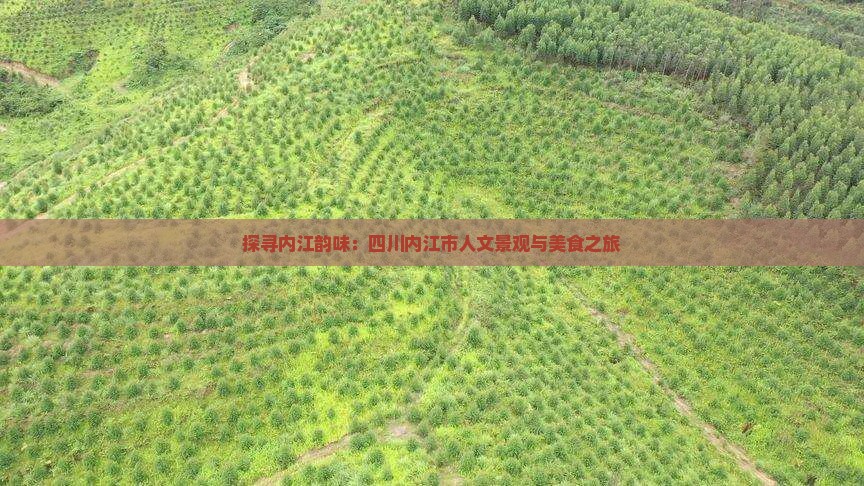 九游体育：探寻内江韵味：四川内江市人文景观与美食之旅(图8)