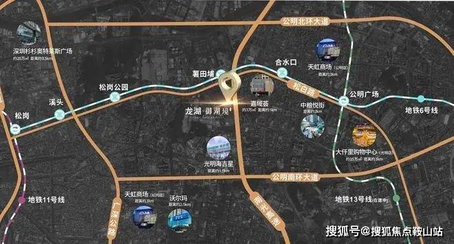 九游体育网站：2024龙湖御湖境(售楼处)首页网站-龙湖御湖境欢迎您-楼盘详情价格户型(图10)