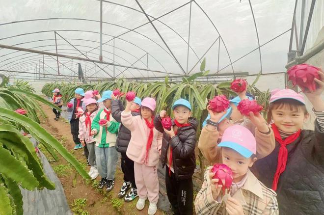 “青蓝先锋”少先队系列实践活动丨探寻古牌坊邂逅火龙果(图3)